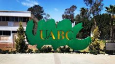 ¿Dónde consultar los resultados de ingreso de la Universidad Autónoma de Baja California?