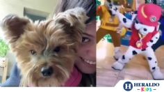 Lola, la perrita de TikTok que es FAN de Paw Patrol, el fenómeno de Nickelodeon