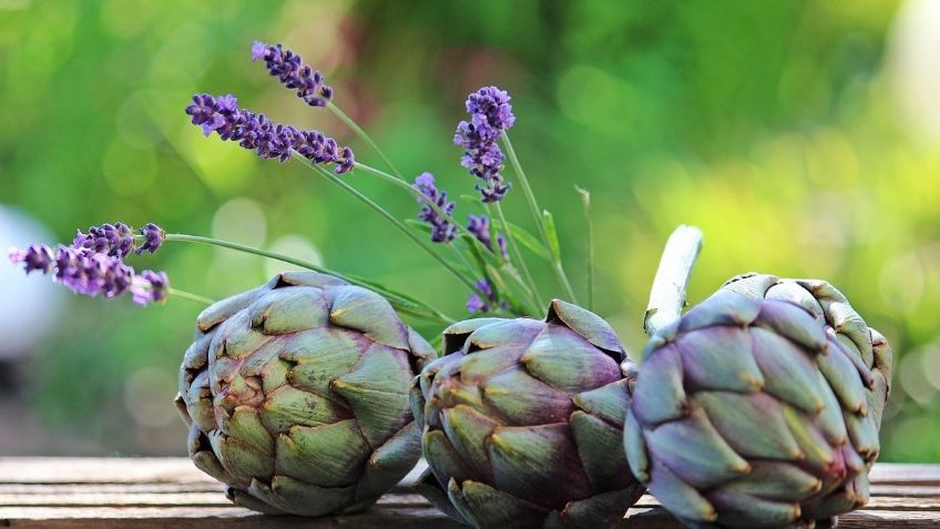 ¿Quieres bajar de peso? Conoce los beneficios de la alcachofa en tu dieta