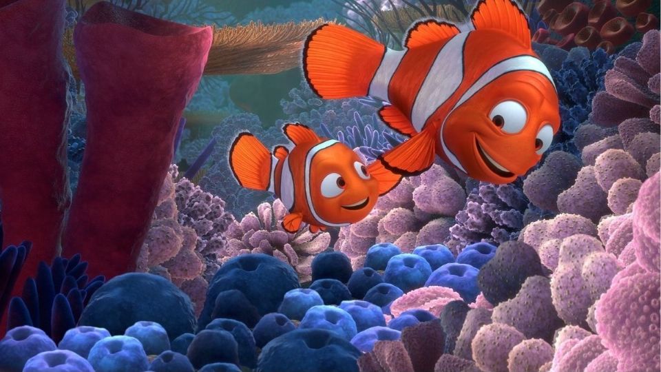 Foto: Buscando a Nemo