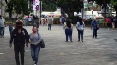 Curva de contagios está en aumento; asegura especialista de la UNAM