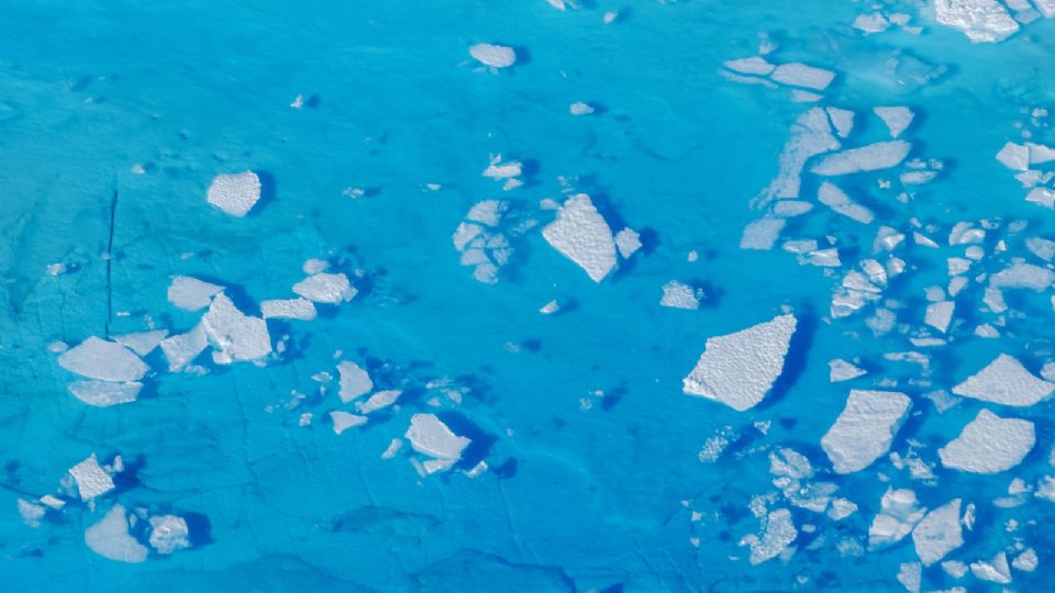 Trozos de hielo flotan en la cima del glaciar Helheim, cerca de Tasiila.