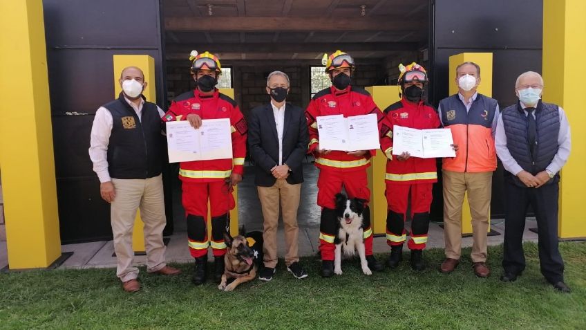 Perritos rescatistas de la UNAM obtienen certificación del Cenapred