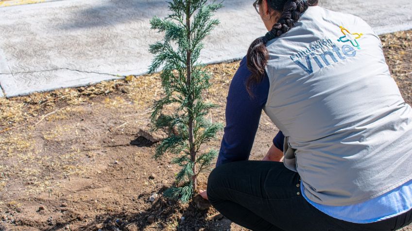 Nace Fundación Vinte para reconstruir el tejido social y crear comunidades participativas