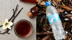 ¿Saborizante de vainilla a partir de botellas de plástico recicladas? Esto ahora es posible