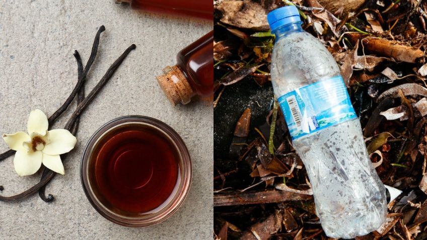 ¿Saborizante de vainilla a partir de botellas de plástico recicladas? Esto ahora es posible