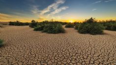 Niños y niñas nacidos en 2020 afrontarán siete veces más olas de calor que sus abuelos: Save The Children