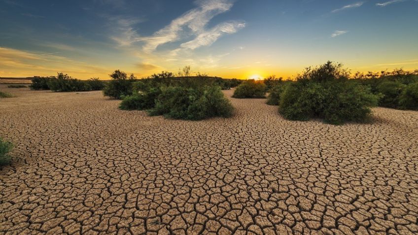 Niños y niñas nacidos en 2020 afrontarán siete veces más olas de calor que sus abuelos: Save The Children