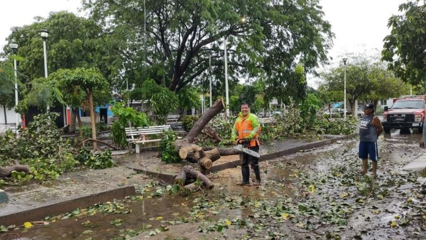 Tormenta tropical "Dolores" dejó inundaciones y árboles caídos en Colima