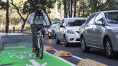 3 de junio, Día Mundial de la Bicicleta: ¿Por qué este medio de transporte es una gran alternativa verde?