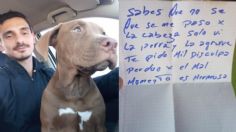 Roban perrita y la devuelven con carta de arrepentimiento: “Es hermosa” | VIDEO