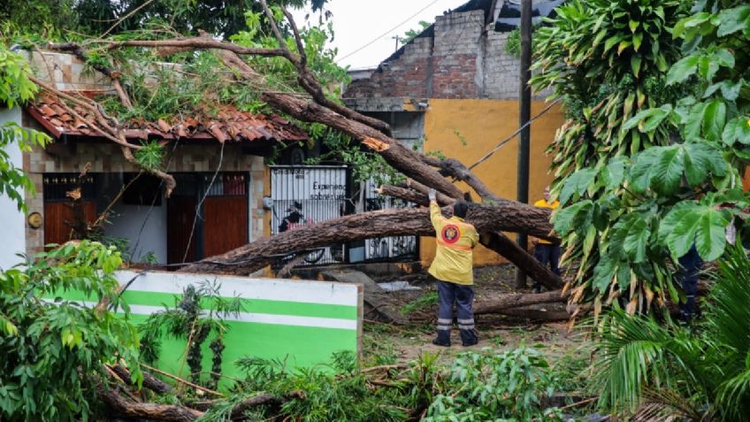 Alertan por aguaceros: Las precipitaciones más fuertes serán en Durango, Nayarit y Sinaloa