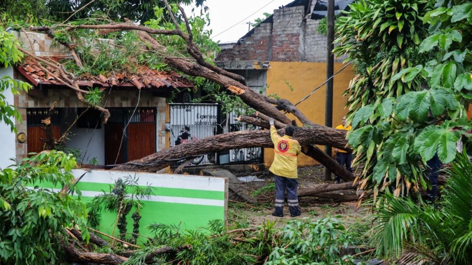 Caída de árboles y derrumbes se registraron en Colima.