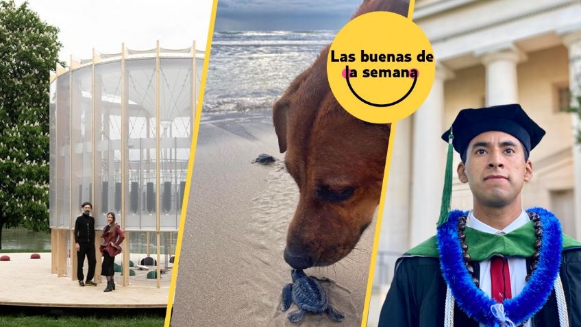 ¡Mexicano se gradúa de Harvard! Esta y otras noticias te sacarán una sonrisa hoy