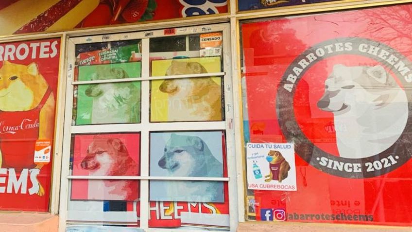 Cheems, el perrito de los memes, tiene tiendita en la CDMX; ¿dónde está y qué venden en ella?