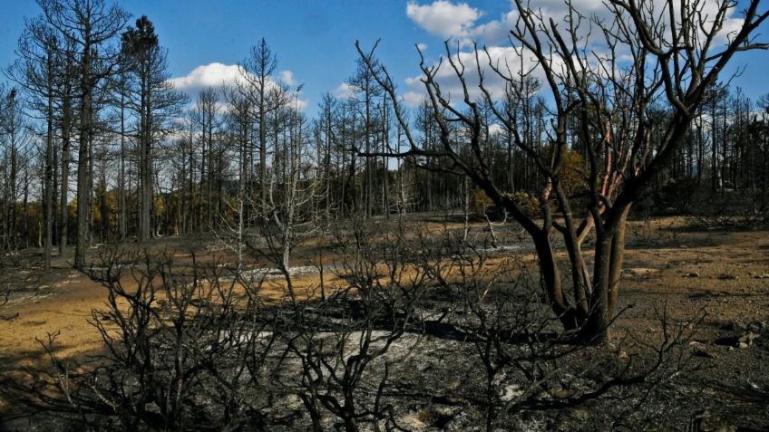 Lluvias en Chihuahua ayudan a controlar 22 de los 23 incendios forestales