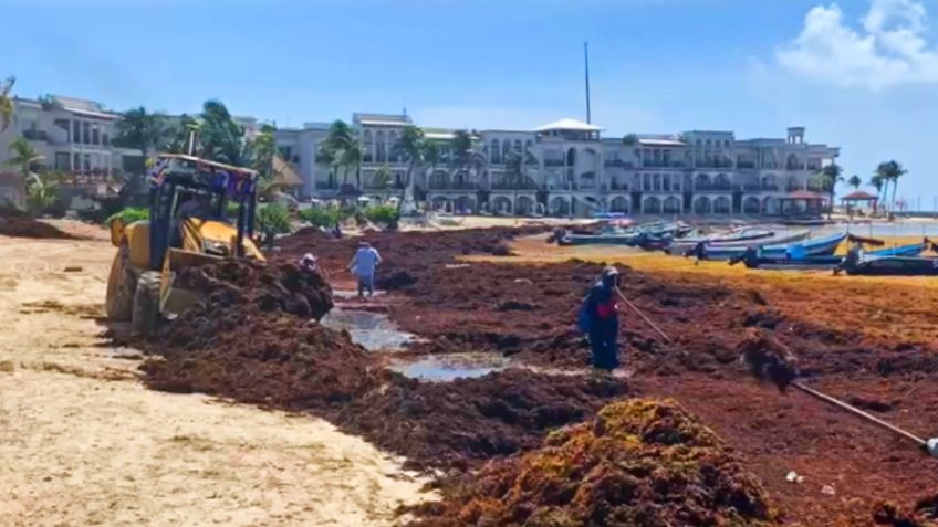 Sargazo inunda playas del Caribe Mexicano