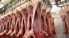 La eliminación de exportaciones de carne de cerdo a China impacta a productores