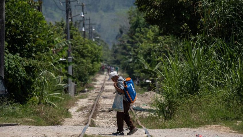 Políticas públicas del gobierno no reflejan la prioridad del sur ni de los más pobres: Signos Vitales