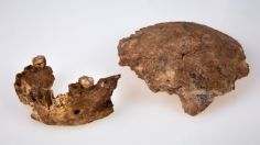 Encuentran en la cantera de Nesher Ramla, en Israel, vestigios de los primeros neandertales