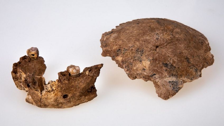 Encuentran en la cantera de Nesher Ramla, en Israel, vestigios de los primeros neandertales