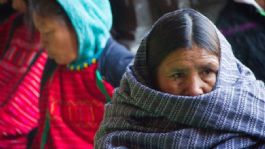 Foto que representa a Secretaría de Cultura presenta programación para el Año de la Mujer Indígena