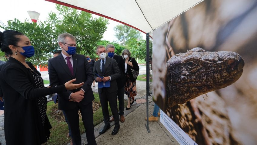 La naturaleza y el cambio climático, el tema de la nueva exposición fotográfica del Parque Metropolitano en Guadalajara.