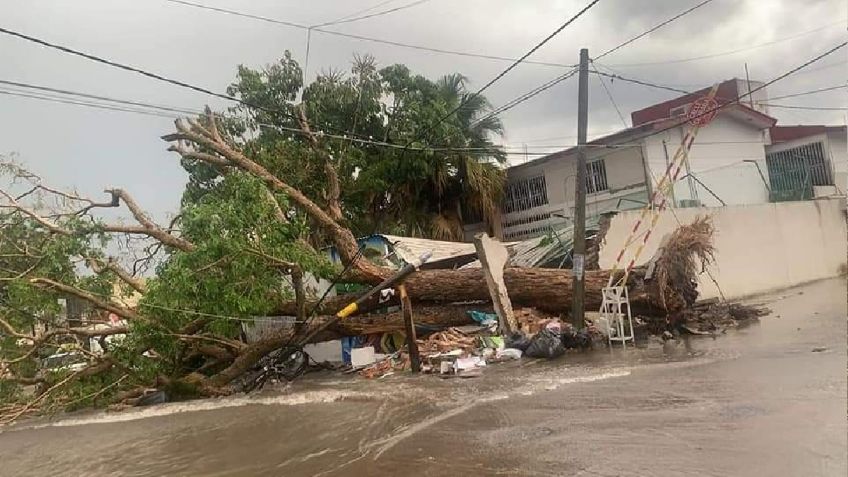 Huracán Enrique deja árboles caídos e inundaciones en Tepic