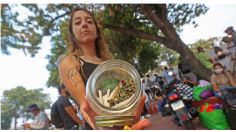 ¿Al regular la marihuana se acaban la violencia y el narco en México? Esto dicen los expertos