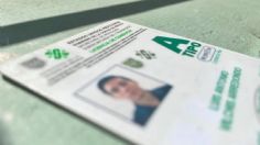 Licencia Tipo A: Cómo programar una cita para obtenerla en la CDMX