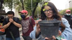 Despenalización del uso lúdico de la marihuana divide a diputados de San Luis Potosí