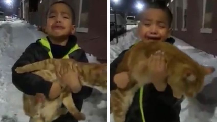 VIDEO VIRAL: Niño hace berrinche para adoptar un gato y enternece las redes