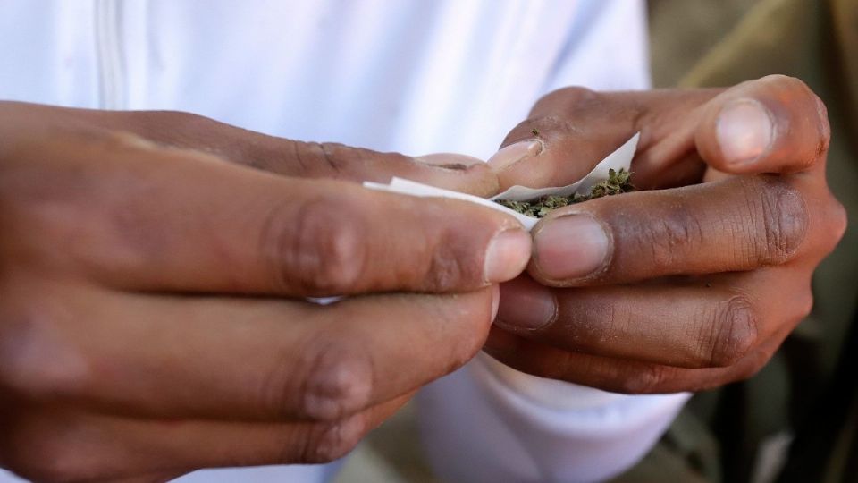 Este lunes 28 de junio la Suprema Corte de Justicia de la Nación eliminó la prohibición del consumo lúdico de la marihuana. Foto: Archivo