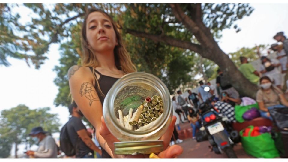 En México está permitido el uso de la marihuana con fines médicos y lúdicos, lo cual no implica su legalización (Foto: Cuartoscuro)