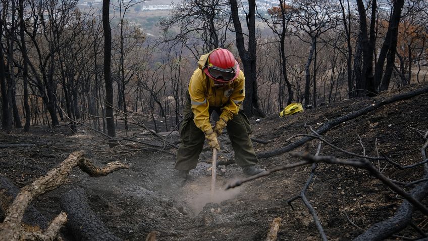 Tras incendios forestales, inician obras de conservación de suelos en 400 hectáreas de Jalisco