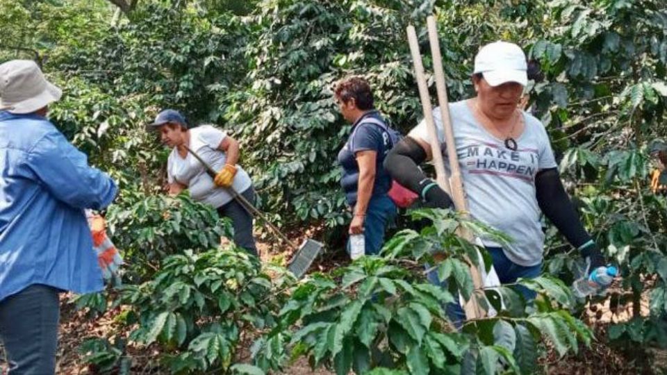 La activista pidió el apoyo de la población para la donación de equipos para continuar la búsqueda.