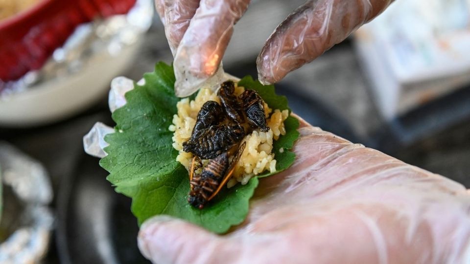 Cigarras fritas en un rollo de sushi. Foto: AFP