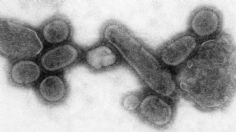 Cuarentena habría causado la extinción de dos cepas de gripa, aseguran científicos