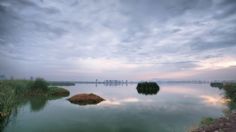 En zona agrícola de Tláhuac, se seca laguna de Xico