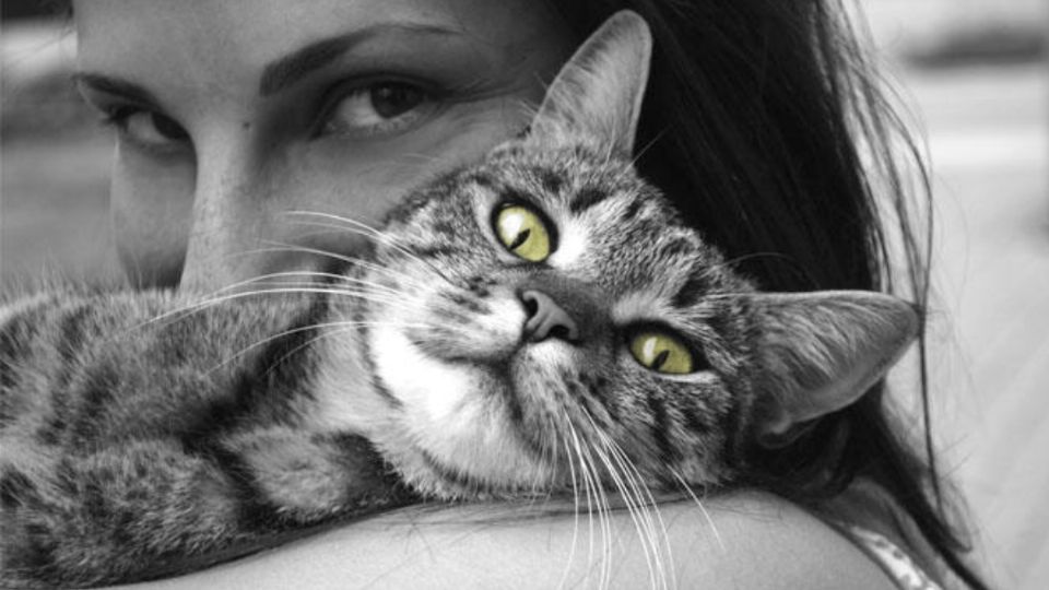 Los felinos manipularían a las mujeres. Foto: Especial.