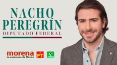 ¿Cómo le fue a Nacho Peregrín, el hermano de Belinda en las Elecciones 2021?