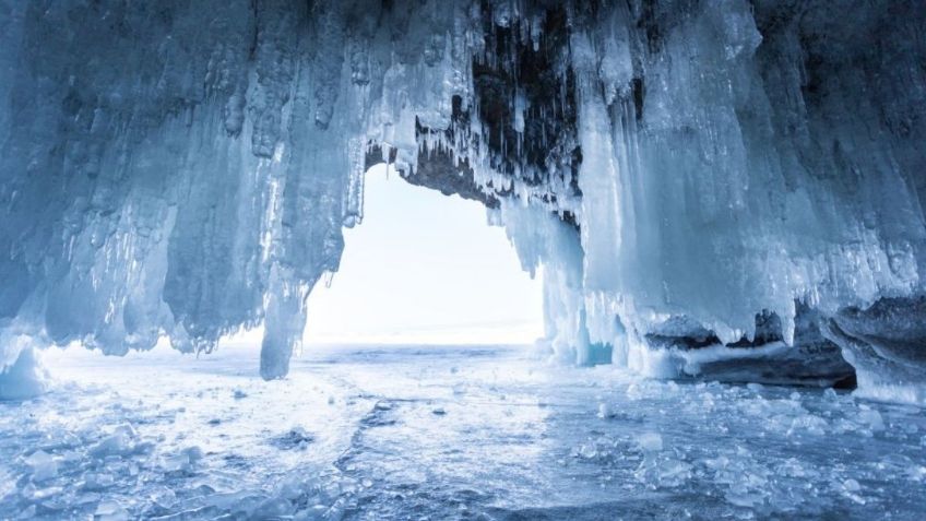 Hallan en Siberia animal que sobrevivió congelado más de 24 mil años; así fue posible