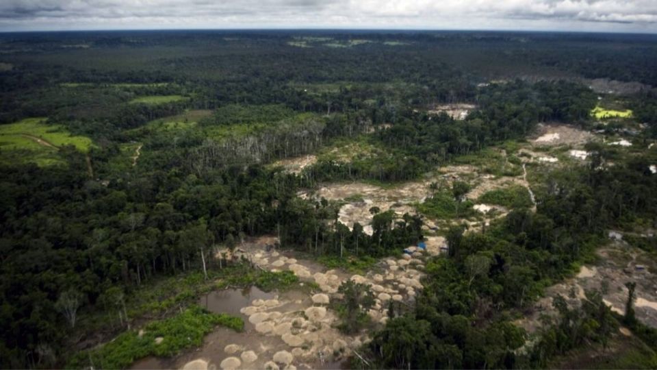 Amazonia del Perú. Foto: AFP