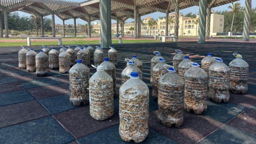 Recolectan 90 mil colillas de cigarros para proteger a la Tortuga Lora en Miramar