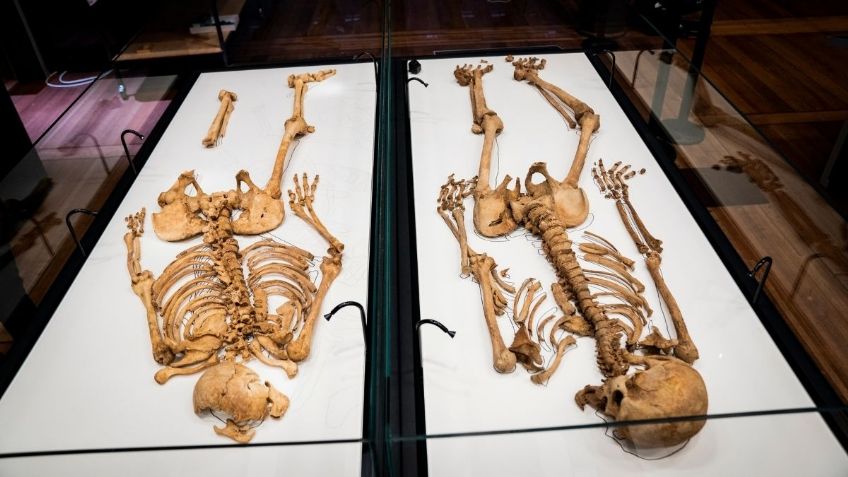 ¡Reencuentro! ESQUELETOS de dos hermanos VIKINGOS se exhibirán en museo; fueron asesinados hace MIL AÑOS