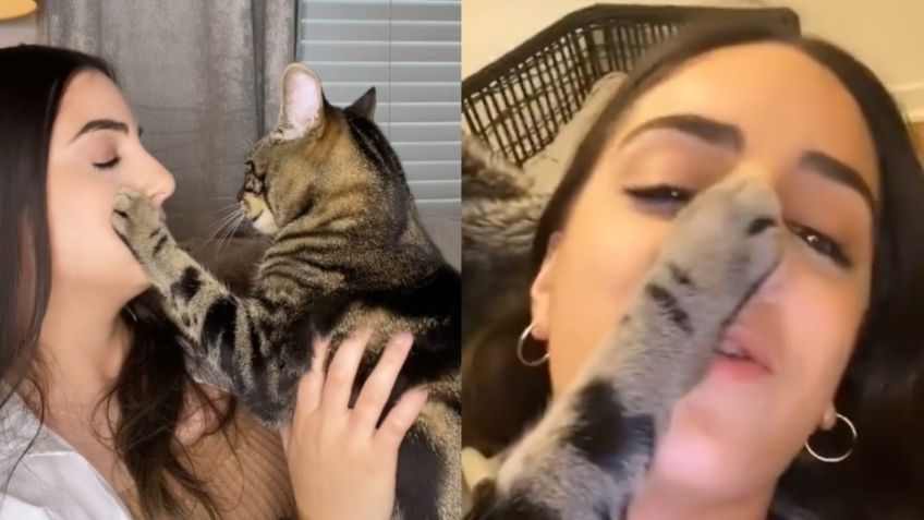 Gatito CELOSO "calla" y evita que su dueña llame a otra mascota | VIDEO VIRAL