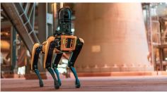 Curiosidades Olímpicas: ¿Los famosos robots de Boston Dynamics serán el público en los eventos?