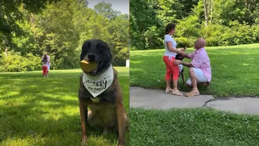 VIDEO VIRAL: ¡Estos son amigos! Perrito ayuda a su dueño a pedir matrimonio; tierno momento se hace viral