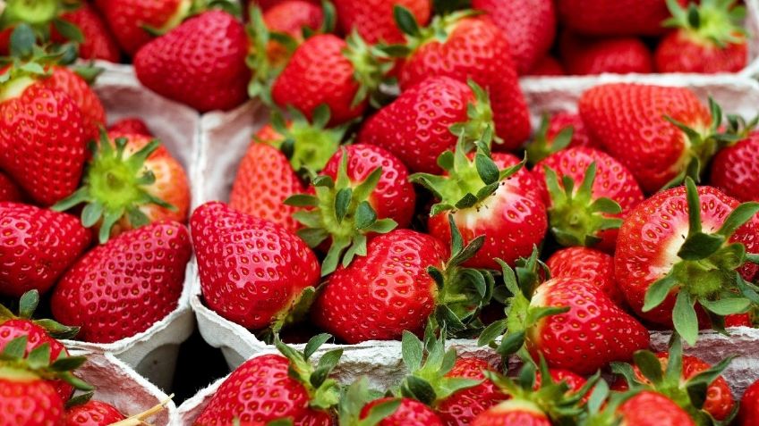 ¿Qué beneficios tiene comer fresas todos los días?