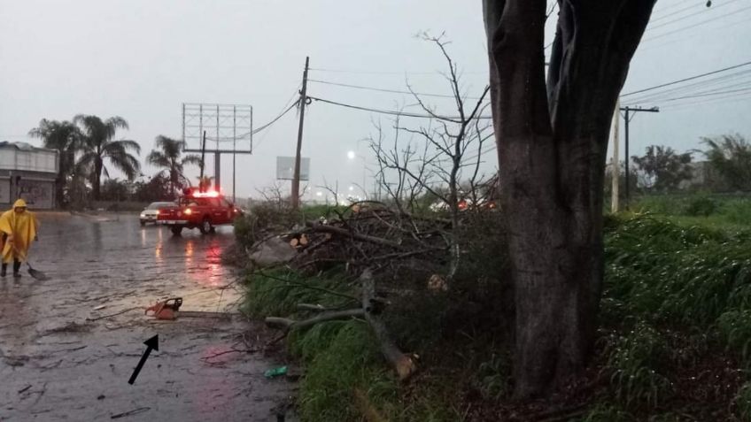 Bomberos de Tlajomulco de Zúñiga denuncian robo de motosierra en Jalisco